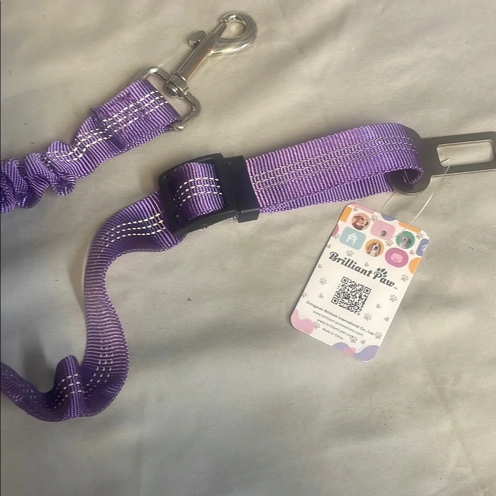 Dog seat belt